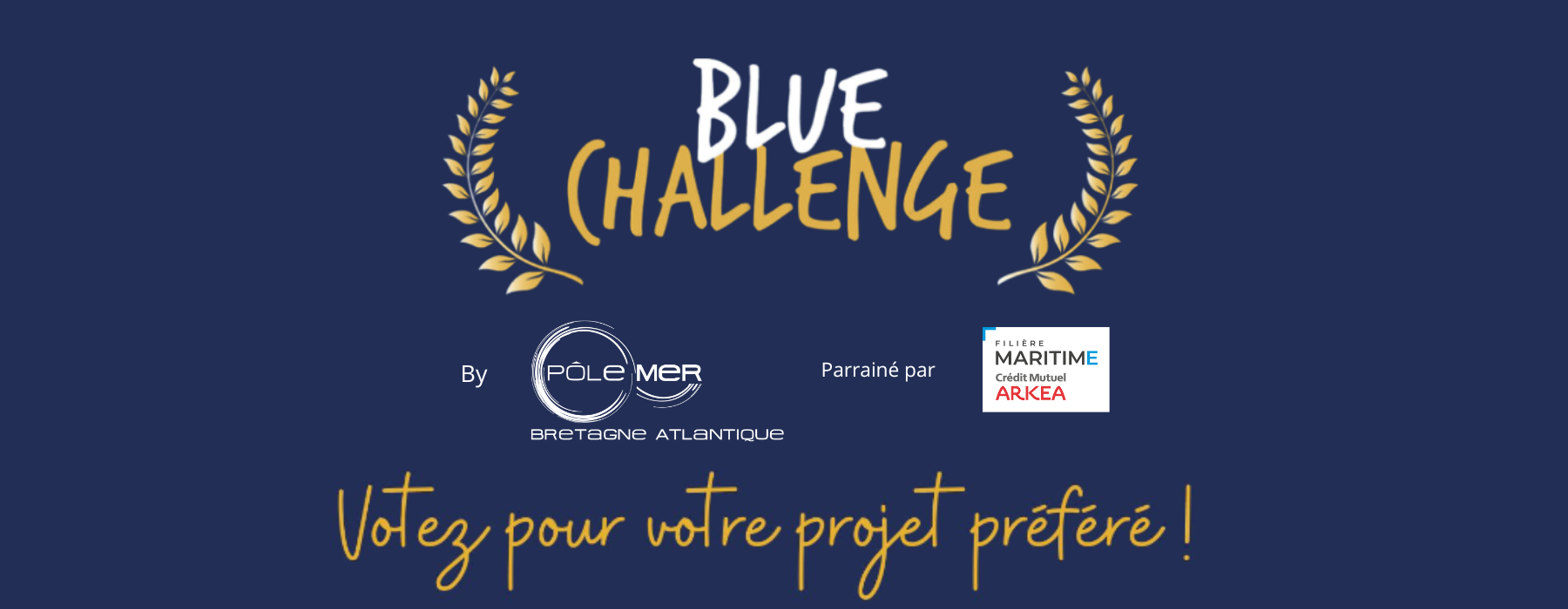 Blue challenge bannière copie