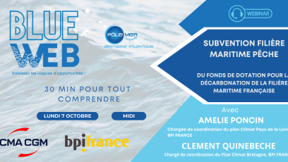 Blue web Subvention Filière Maritime Pêche