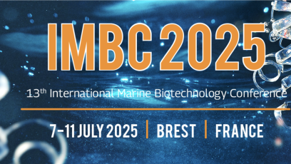 IMBC2025