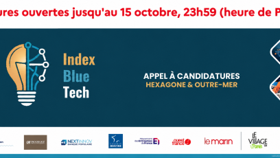 Index Blue Tech 4