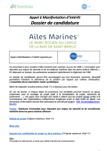dossier candidature iberdola