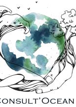 consult ocean 