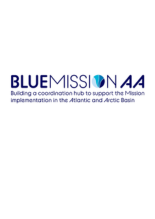 Blue Mission AA Logo