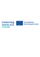 Fishinn Small logo