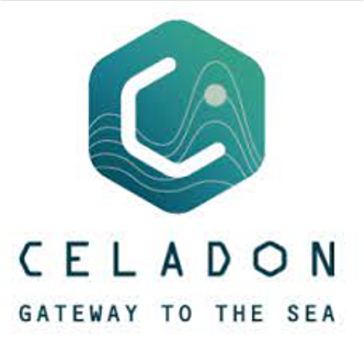 celadon.png