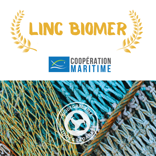 Blue Challenge 24 - Linc Biomer