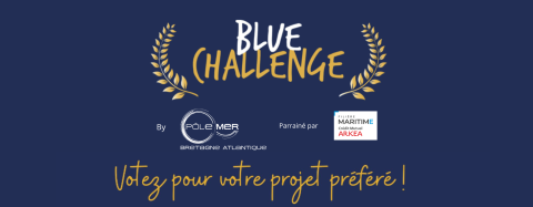 Blue Challenge 24