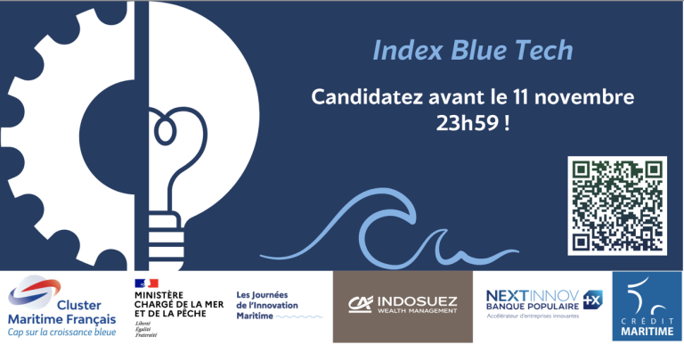 Index blue tech 2024