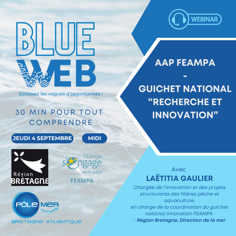 Blue Web