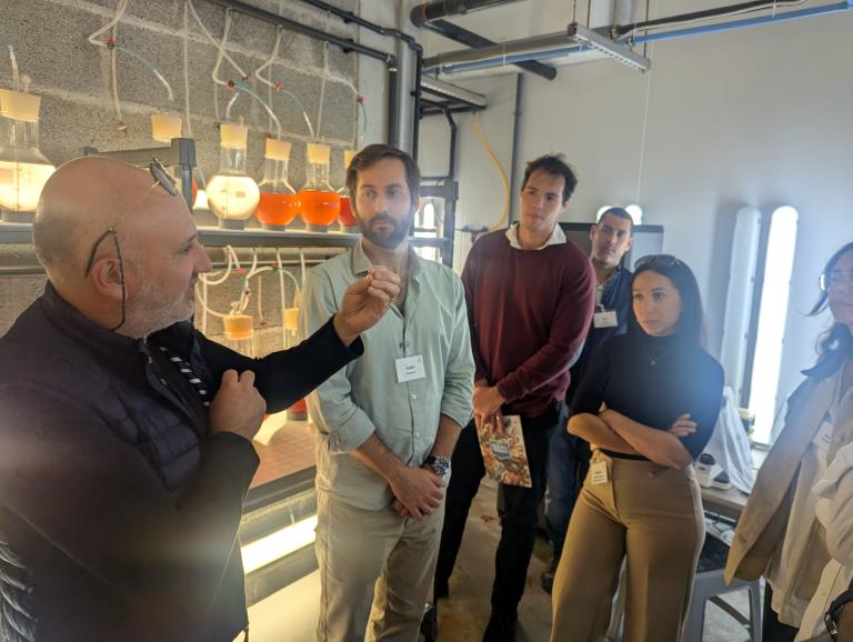 Photo I3-4 Blue Growth