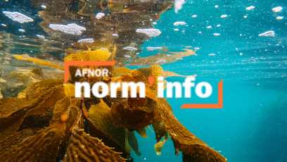 norminfo